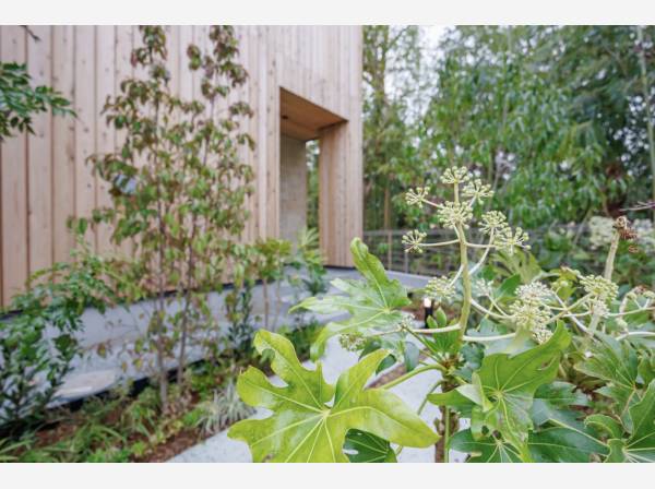 緑に包まれる、やさしいアプローチ。