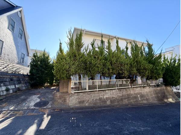 北側から撮影写真