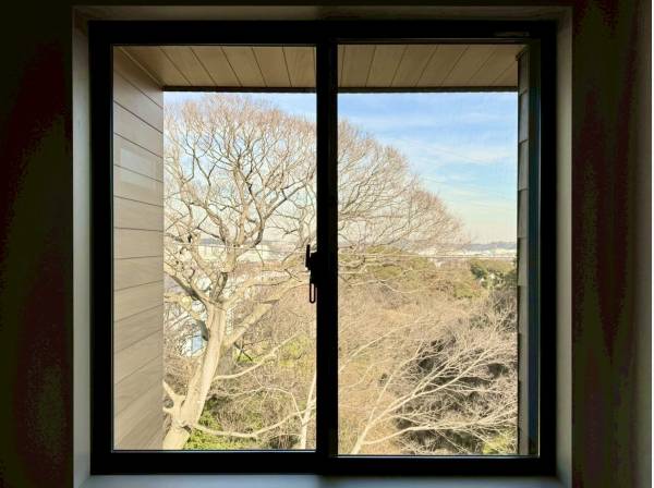 室内から自然を感じる眺望！