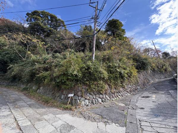 ほぼ山と言ったこの土地、どう活かすかプランニングに期待が高まります