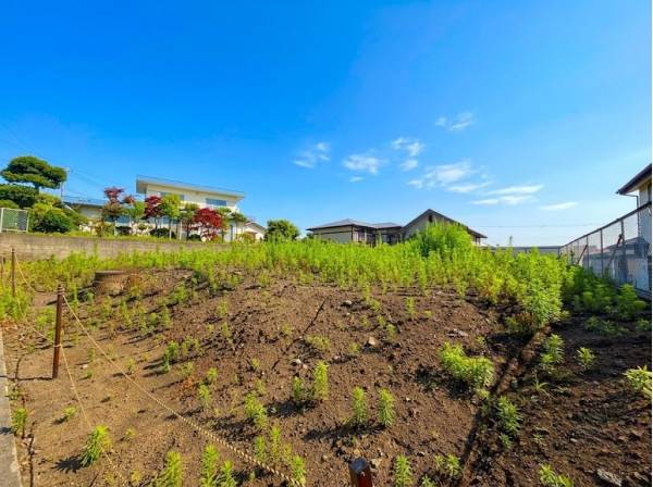 日当りも良好、建築条件なしでございます