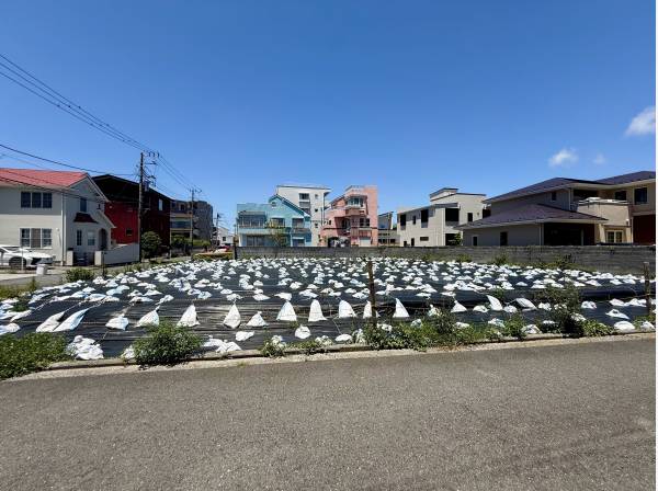 現況は更地のためスムーズに建築計画へ移行していただけます