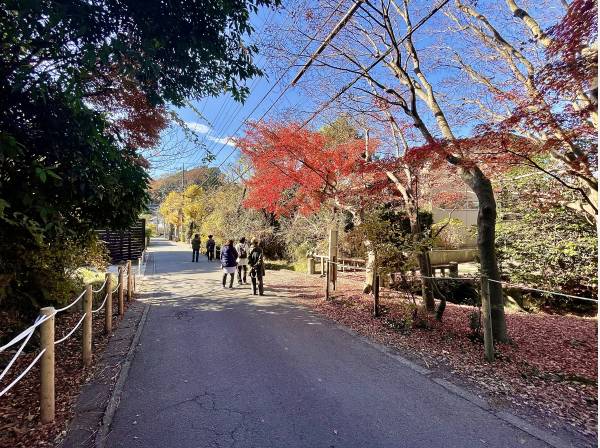 鎌倉の良い雰囲気の現地