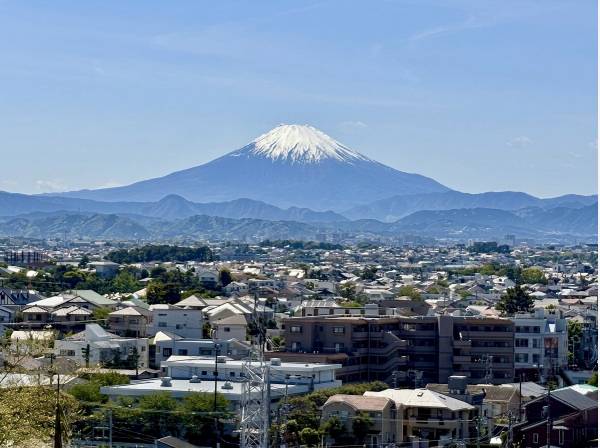 現地からは雄大な富士山を眺めます。