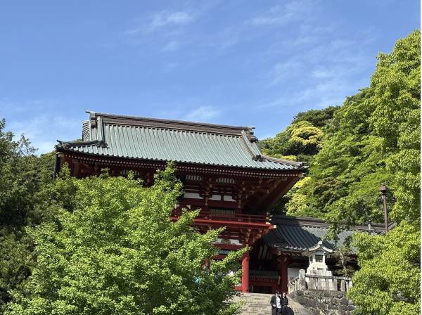 鶴岡八幡宮まで約500m