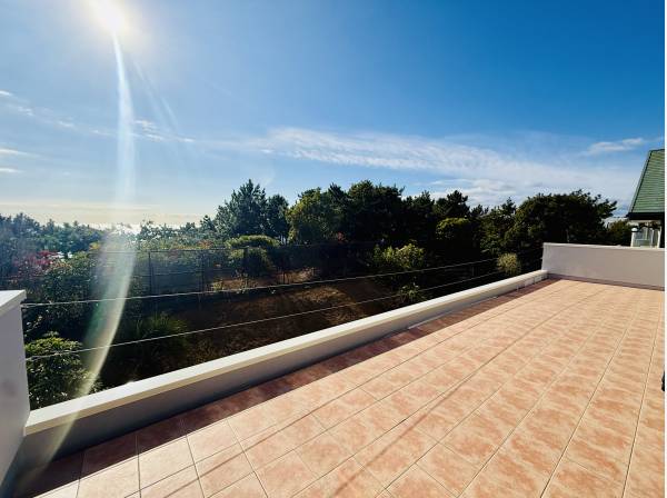 松林越しに煌めく相模湾を望みます