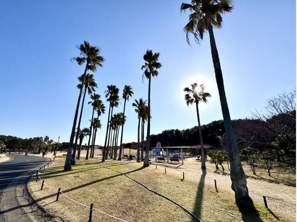 辻堂海浜公園まで徒歩3分（240ｍ）
