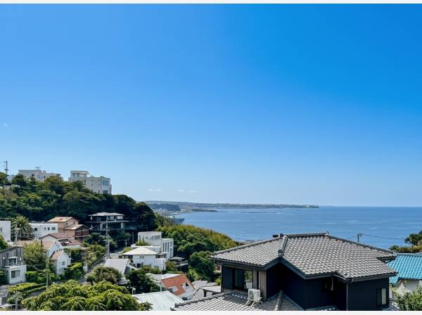 現地からの素敵な眺望です。
