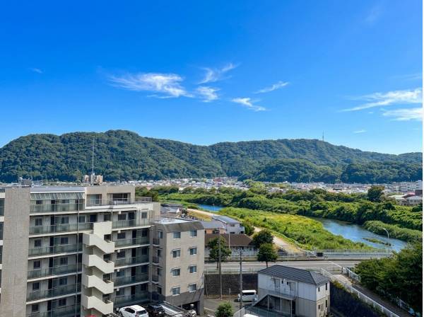 もくもくと緑の絨毯が目に優しいパノラマ景色
