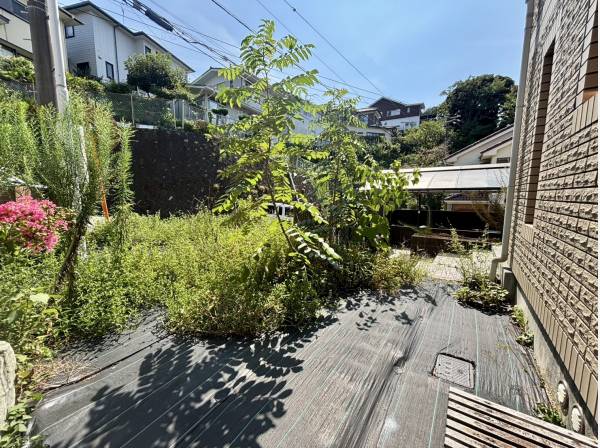 家庭菜園などに使えそうなお庭