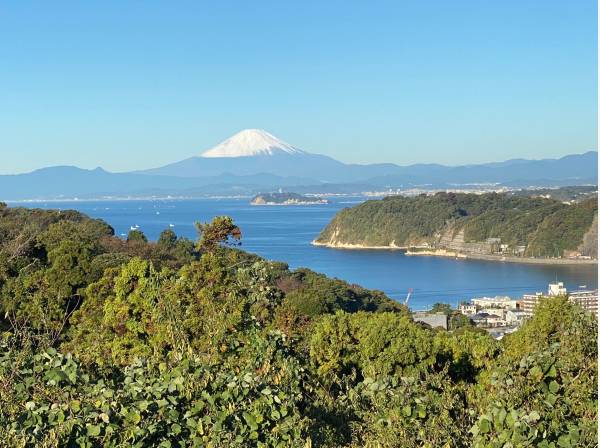 富士山もとってもきれいに望みます！逗子の花火大会もここから見下ろせます