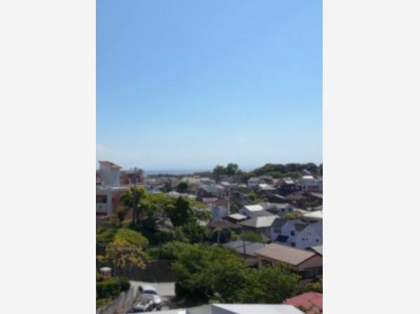 屋上レベルからの眺望です。