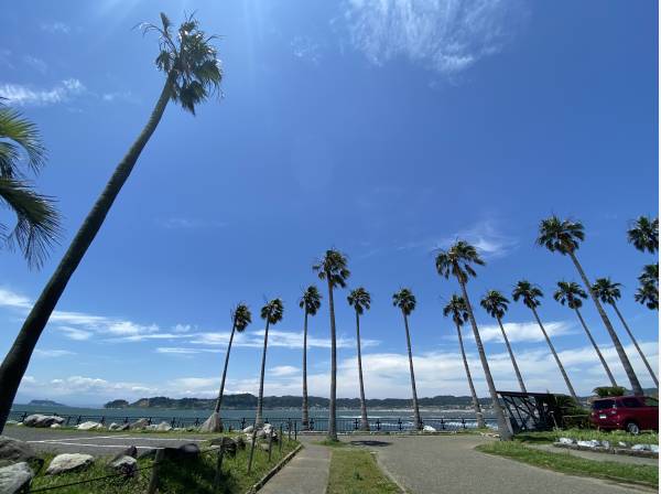 逗子マリーナまで徒歩5分