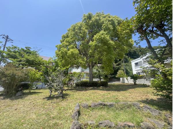 山ゆり公園まで徒歩1分（約50m）