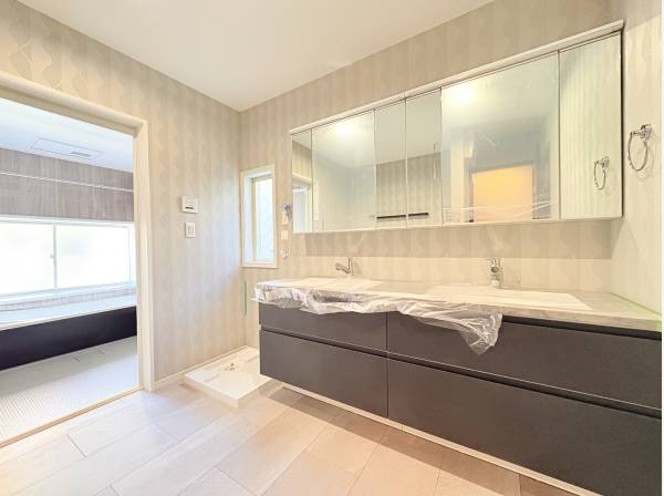 ツーボウルの洗面