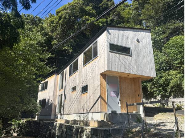 沢山の窓を配したアートのような佇まい
