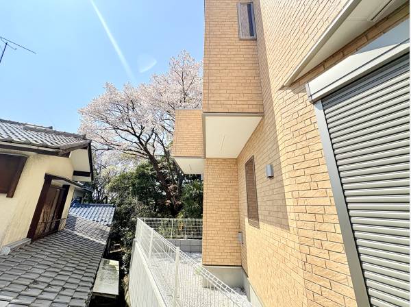 裏庭で花見を愉しめます