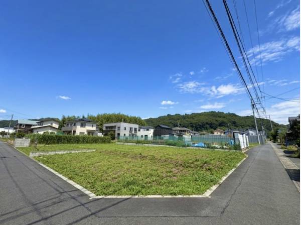 南東角地で日当たり良好