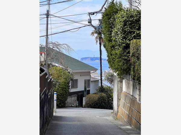 夜の接道に江ノ島のシーキャンドルが光を添えます