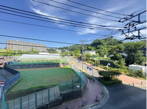 自然溢れる環境はリスの鳴き声が聞こえることも♪
