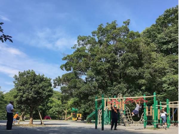 新林公園まで徒歩13分（約1㎞）