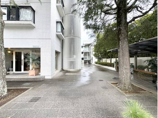木々に寄り添う落ち着いたマンションアプローチ