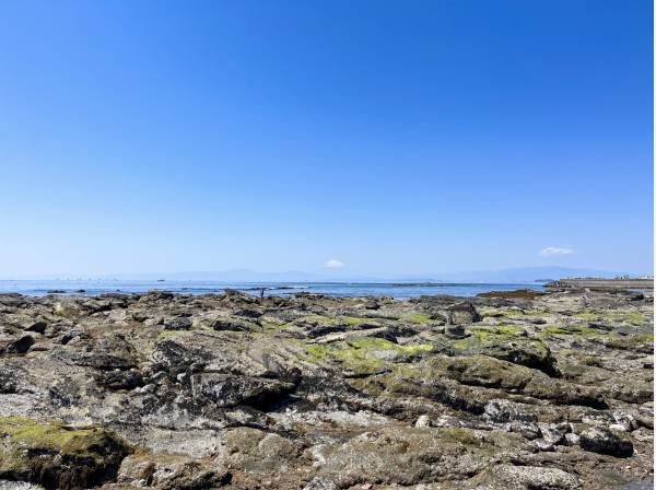 芦名海岸まで徒歩2分（約120m）