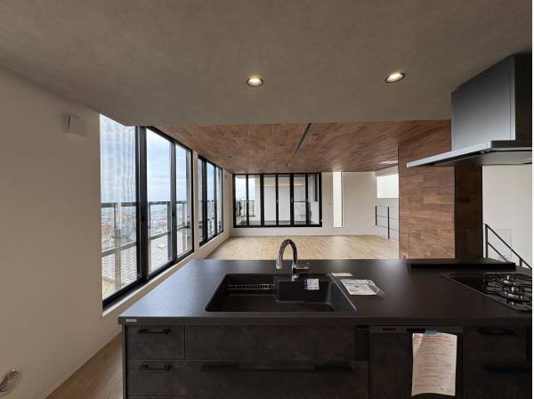 キッチンから見ています