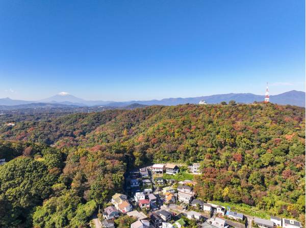 木々の色づきから四季の移ろいを感じられますね