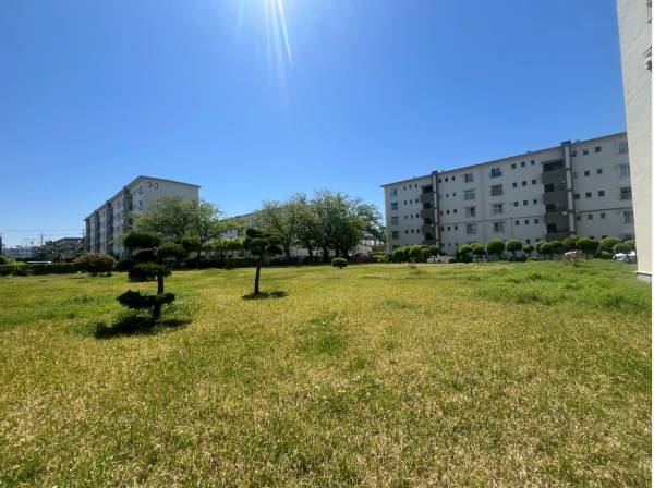 ゆとりのある敷地内