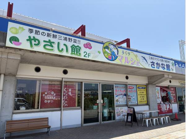テレビでよく見る『うらりマルシェ』です。三浦市の新鮮な野菜や魚が買えます。