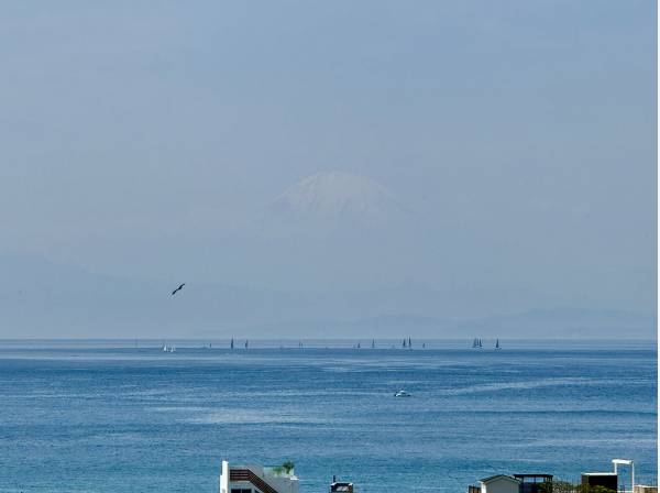 富士山もリビングより望みます