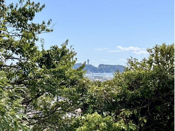 木々の合間からは江の島も眺望できます！