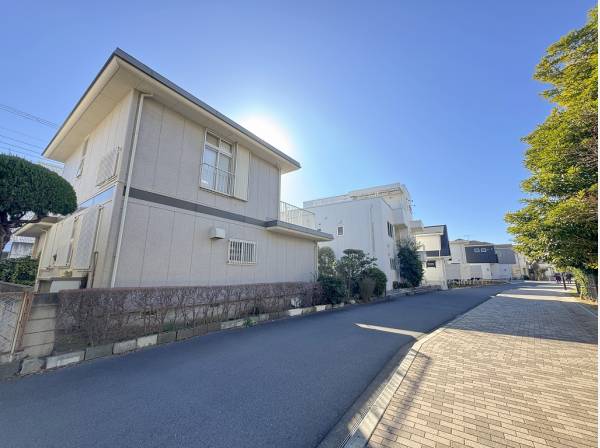 遊歩道には街路樹が並び豊かな緑を感じられます