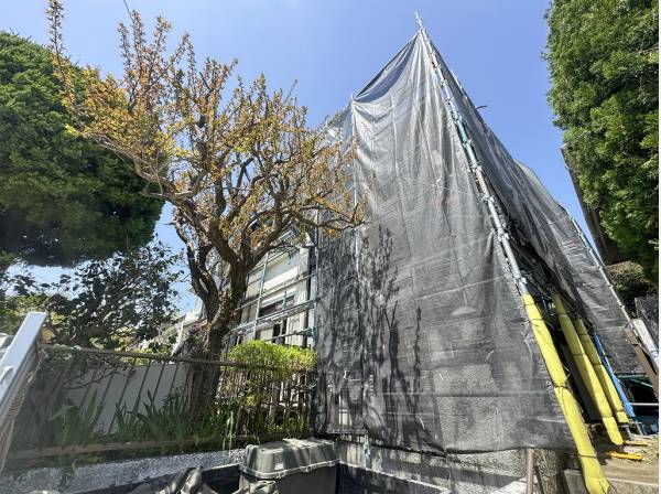 建物前面に陽光が注がれる明るいお住まい