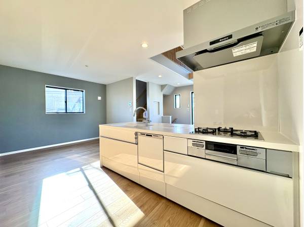 対面式システムキッチンは食洗機と浄水器付き