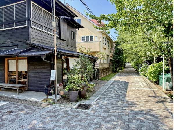古民家レストランなどもある桜並木の通りを抜けて現地へ向かいます