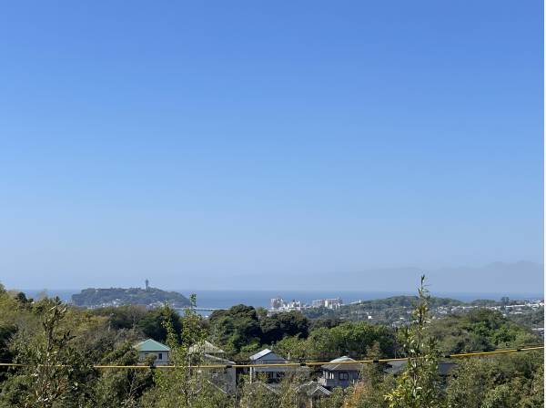 緑溢れる街並みの先には、海、そして江ノ島が浮かびます

