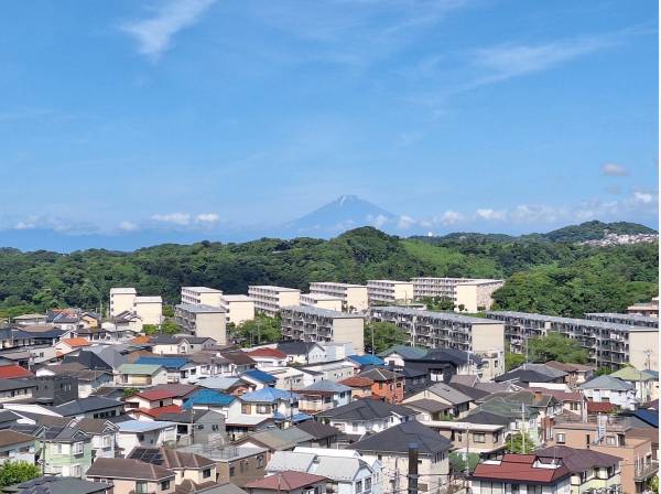 青空の中堂々佇む富士山も望みます！