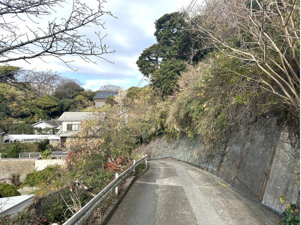 南西側道路/対象地は右側