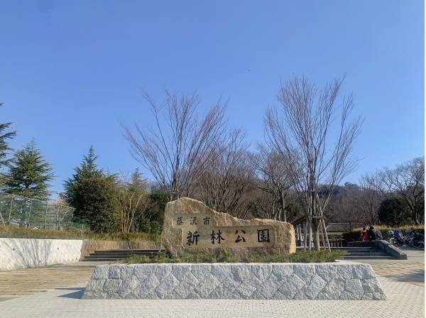 森林公園まで徒歩1分（約60m）