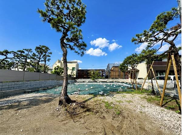 シンボルツリーと過ごす湘南ライフを！