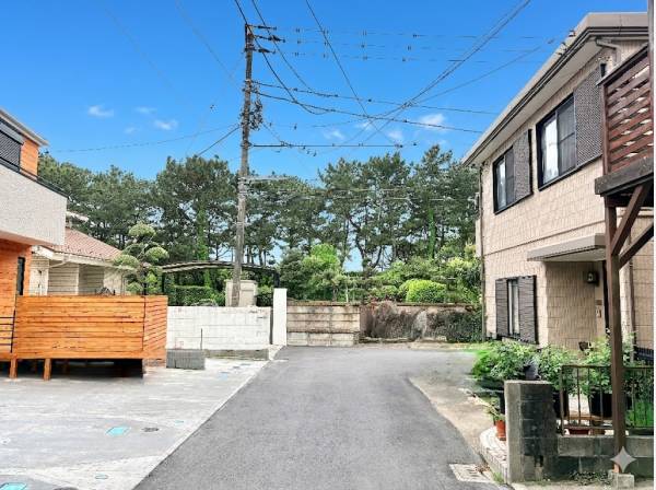 茅ケ崎海岸の松林がすぐそこに！