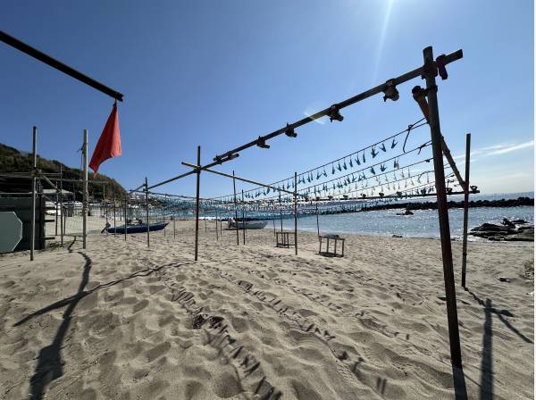 すぐそばに砂浜が広がります(約20ｍ)