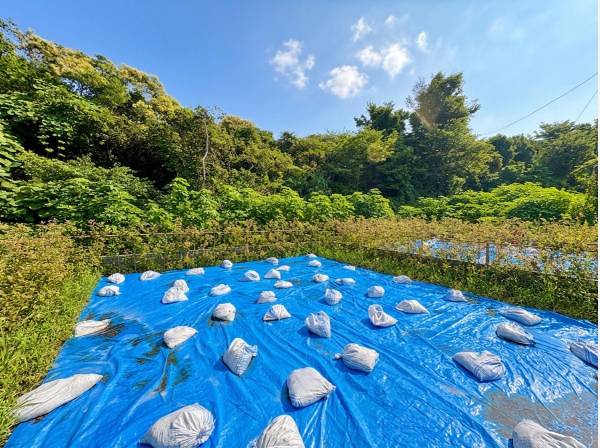 緑の借景に囲まれ海を眺めます。
