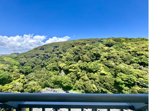 海と反対側はご覧の眺め
これも綺麗です