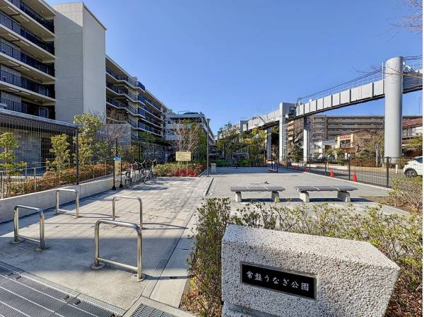 マンションに隣接した常盤うなぎ公園
