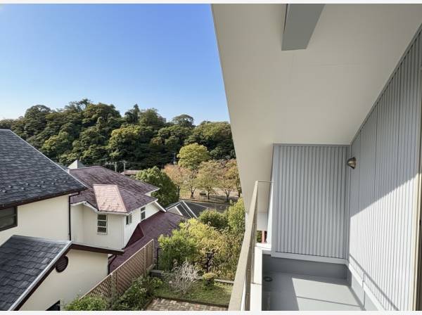 美しい緑を眺めます。