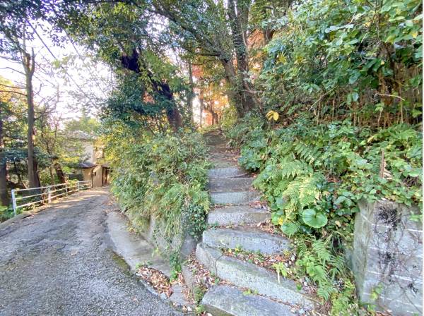 平屋建物部分へのアプローチ