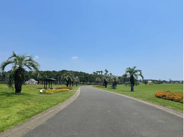 海の手前にはプールもある「辻堂海浜公園」も(約750ｍ)